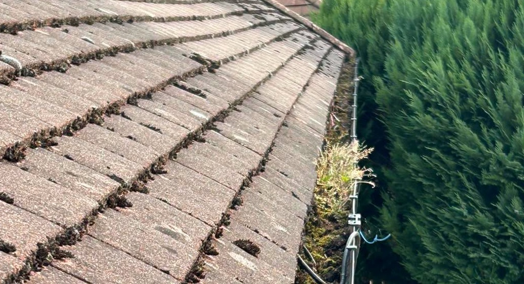 Professional gutter cleaning in Paisley and Renfrewshire