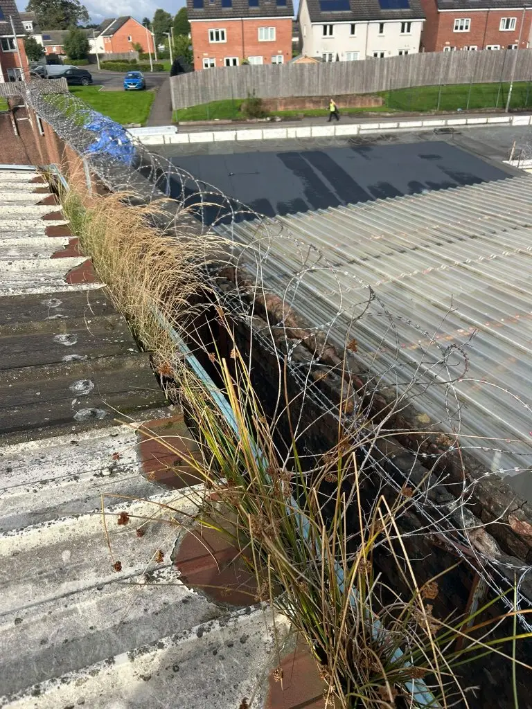 image is of commercial business premises getting gutters cleaned out by renfrewshire gutter services